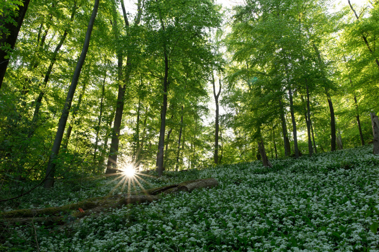 Epson Europe releases its 2023/24 Sustainability&nbsp;Report